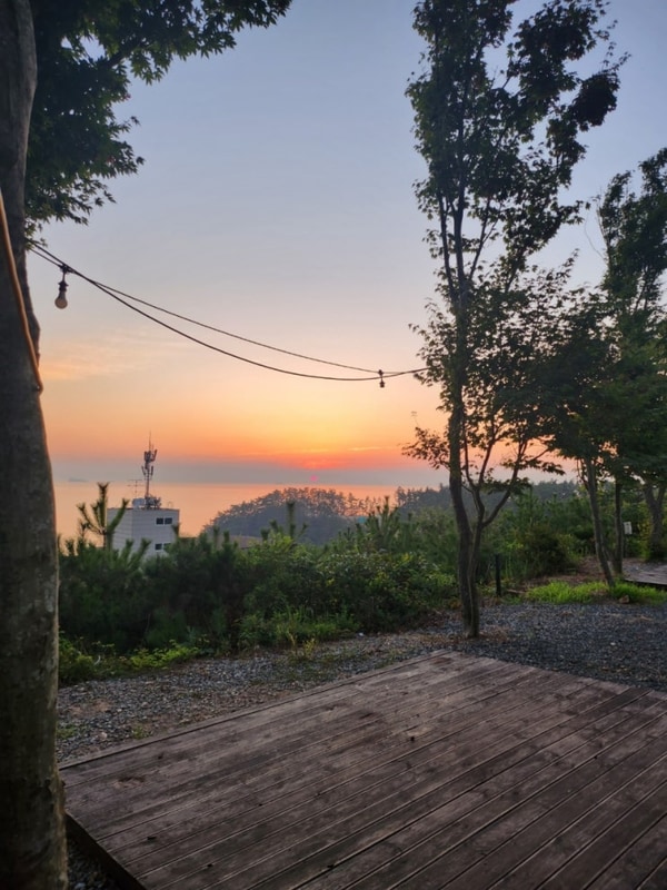 태안 솔향기길 캠핑장｜노을 아래 해루질, 아침엔 꽃게라면 한...