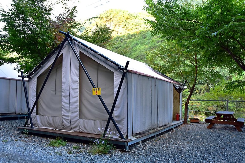 하얀숲 오토&글램핑 시설 사진 12