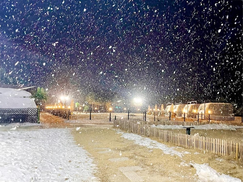 캐닌힐스(CANINHILLS) 시설 사진 5