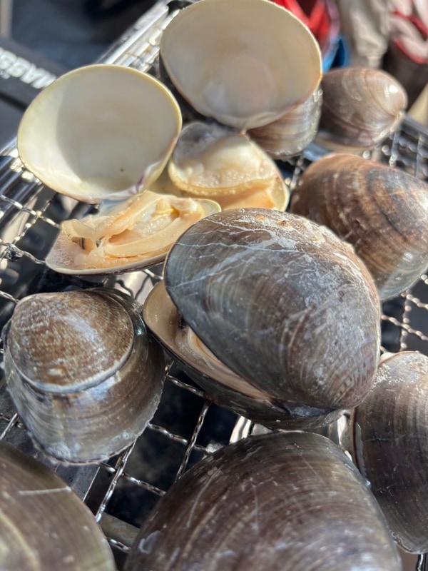 서천 조개잡이 가능 프라이빗 캠핑장 추천 (별빛 갯벌 캠핑장)