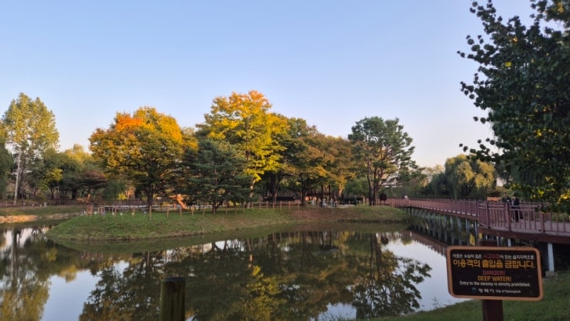 평택 가볼만한곳 소풍정원 캠핑장 주차 경기 가족 여행