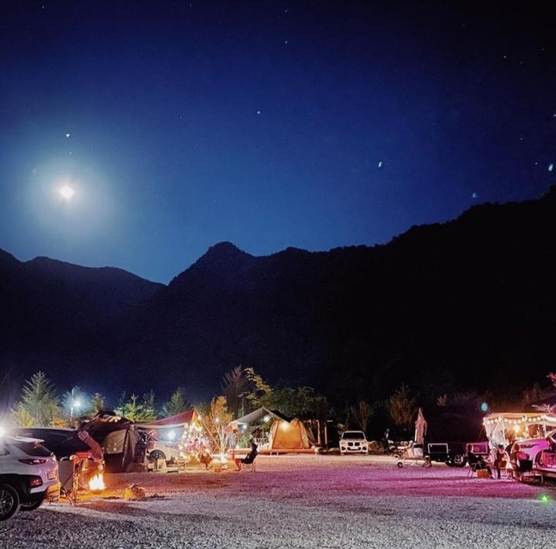 파인트리캠핑장 대표 사진