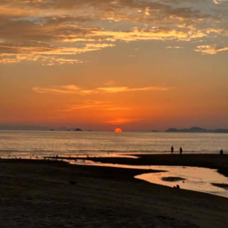 [캠핑/캠핑장] 해수욕장 바로 앞 캠핑장 태안 '꿈꾸는 바다 캠핑장'