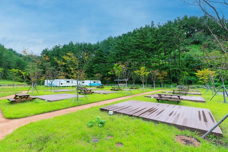 웰빙문화테마마을 대표 사진
