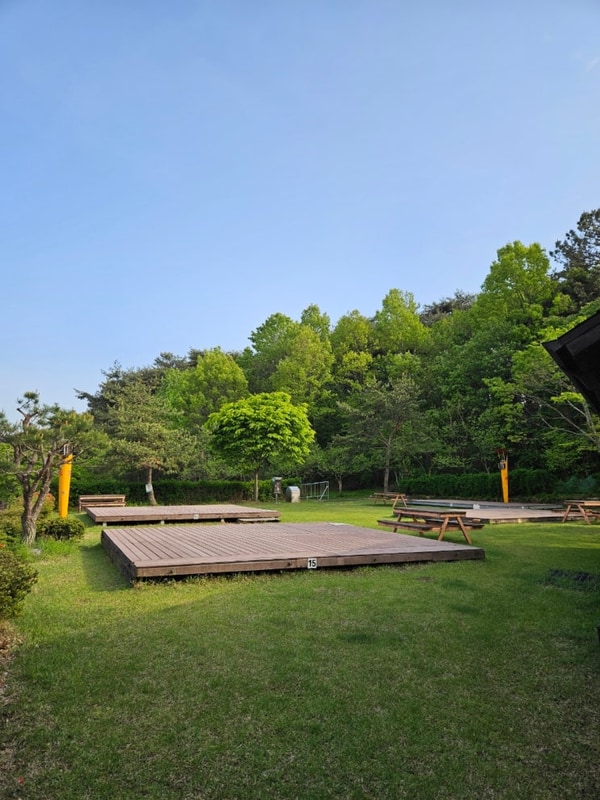 장성 홍길동테마파크 야영장 솔직 후기⛺｜데크 정보와 이용...