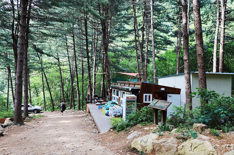 호명산잣나무숲속캠핑장 시설 사진 10