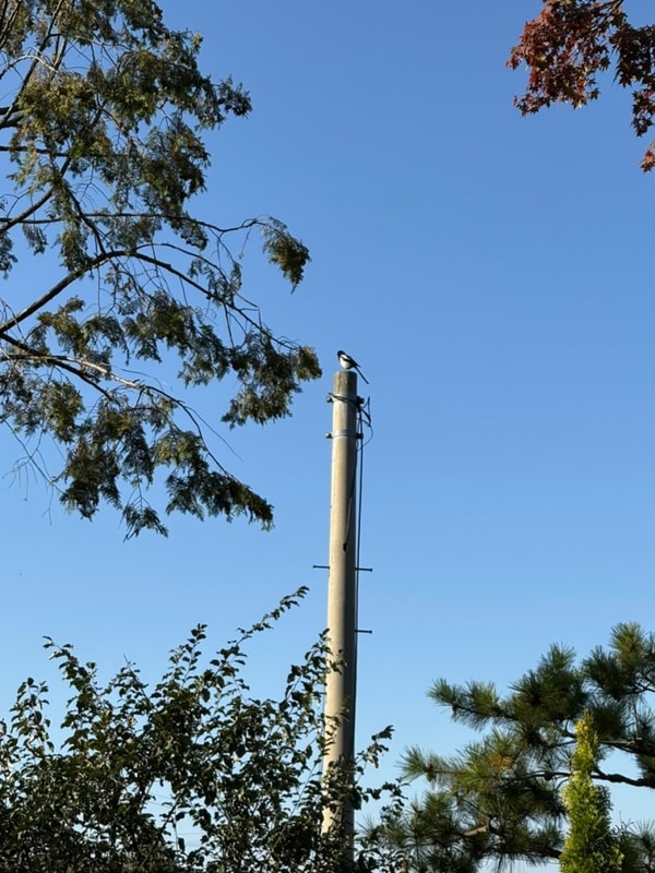 강화물미캠핑장