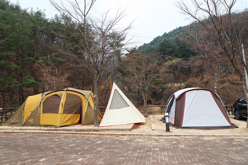 구룡자동차야영장(치악산국립공원) 시설 사진 12