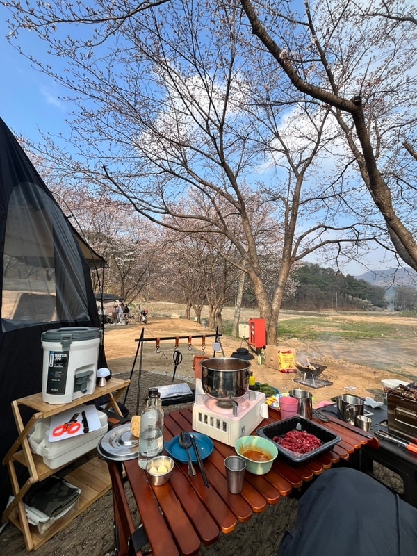 용인캠핑장 *용인반딧불캠핑장* 용인벚꽃캠핑장 추천...