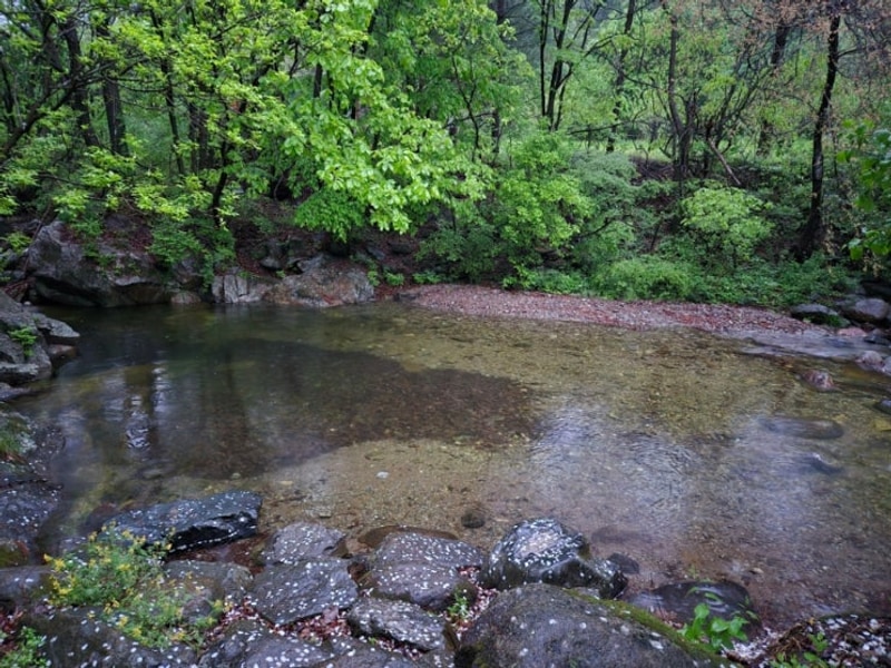 계곡이 흐르는 타프 캠핑 - 제천 [덕동골 오토캠핑장] A-5...