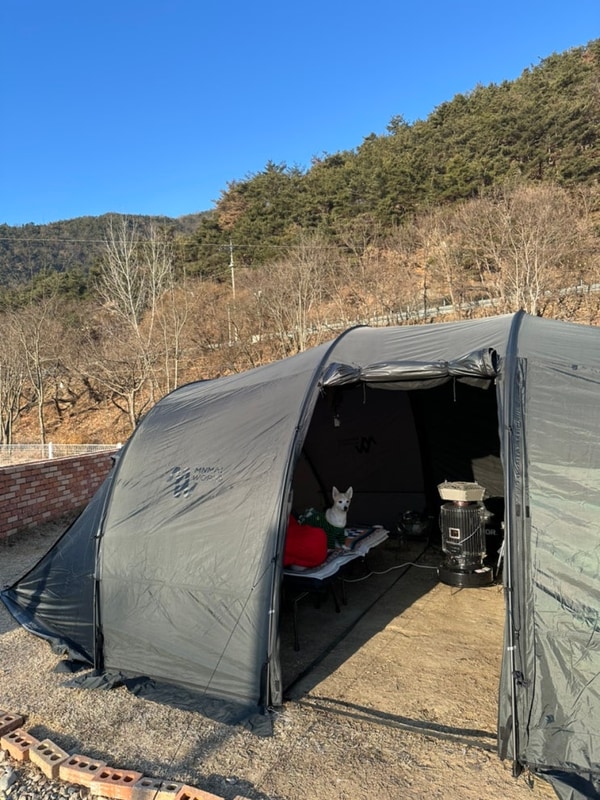 반려견 울타리가 있어서 좋았던 오토캠핑장 청도‘벨캠핑장’...