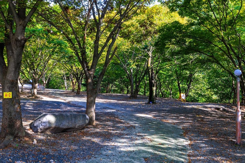 약초농원 캠핑장 시설 사진 13