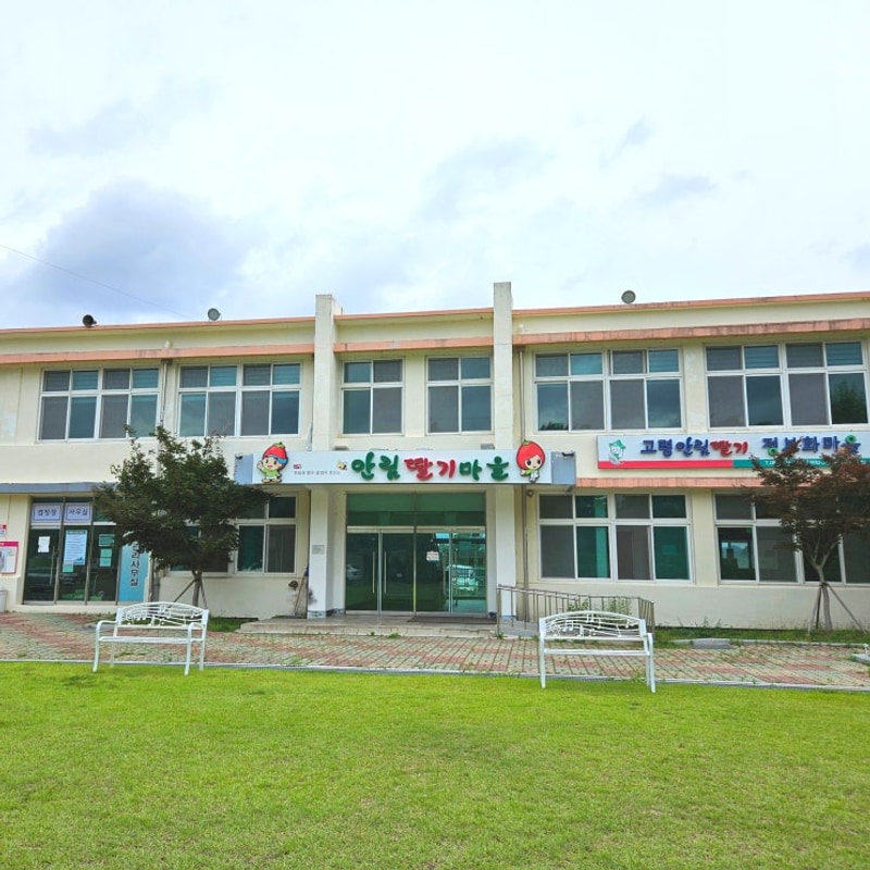 고령 안림딸기마을캠핑장 우중캠핑 2박 3일