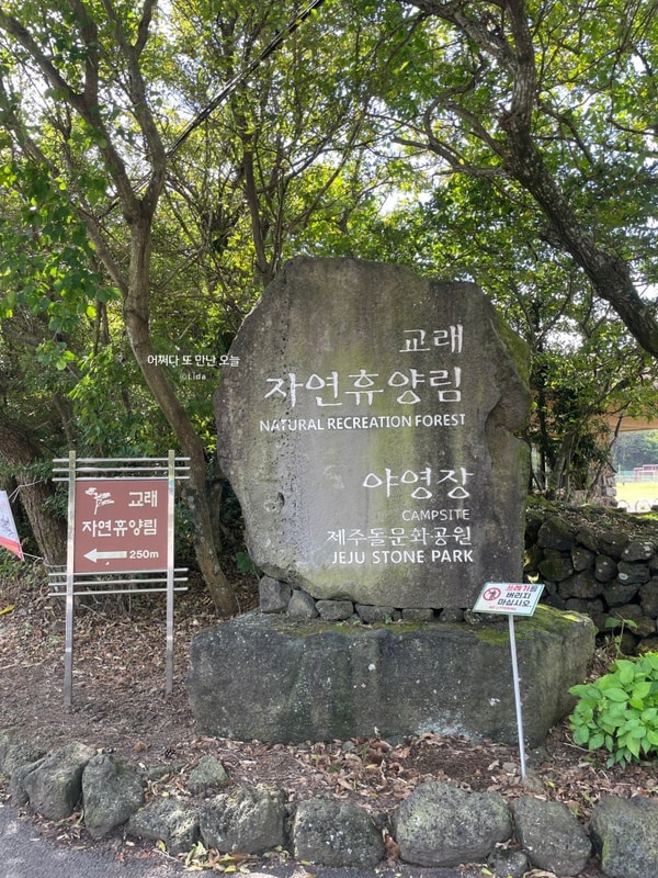 [제주도/조천읍] 제주의... 교래자연휴양림 야영장 잔디데크...