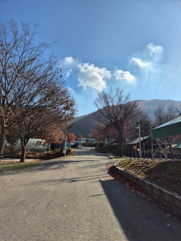 포천대회산 캠핑장