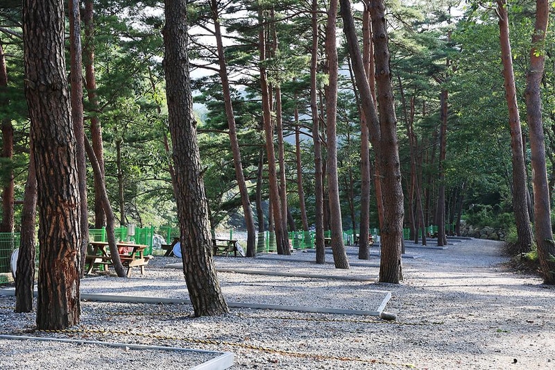법수치오토캠핑장 시설 사진 21