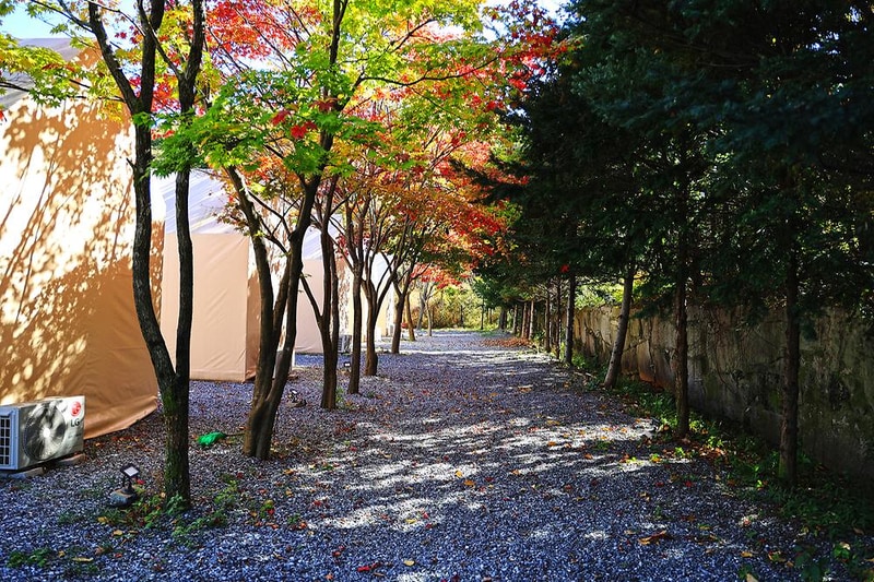 더파인캠핑 시설 사진 11