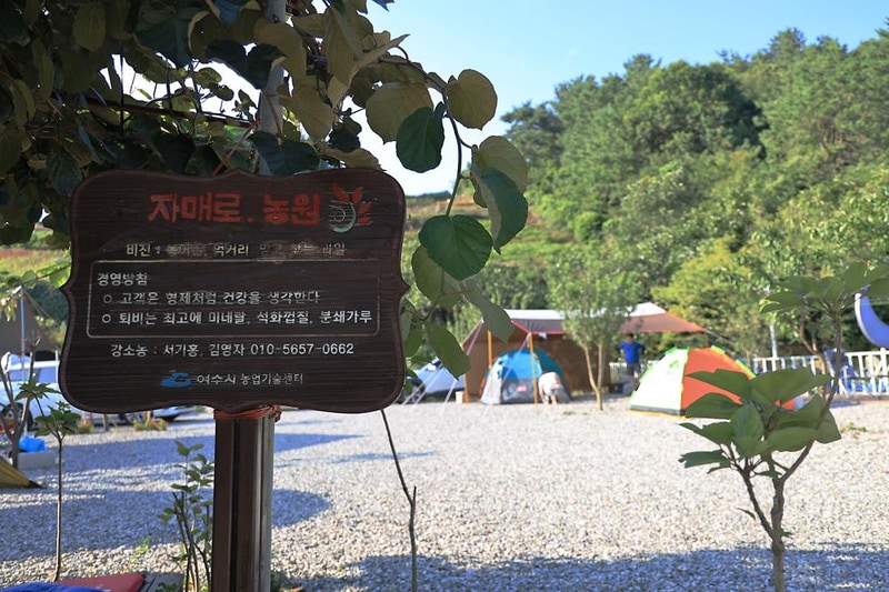 여수자매로캠핑장 시설 사진 5
