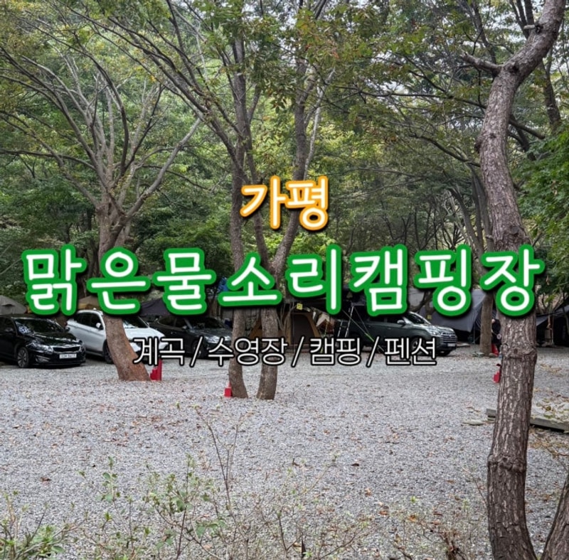 [맑은물소리캠핑장] 가평 계곡/ 캠핑장 펜션/ 수영장