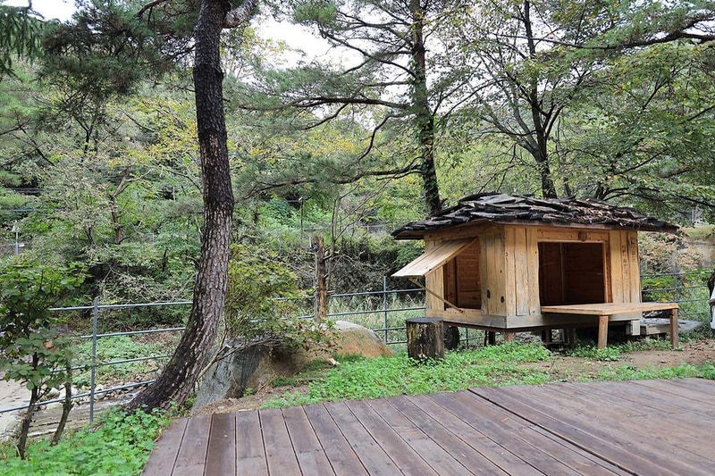 트리하우스계곡야영장 시설 사진 14