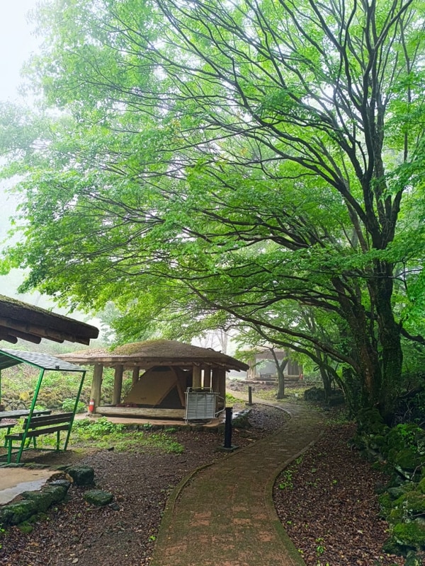 제주 교래자연휴양림 야영장 어린이날 우중캠핑