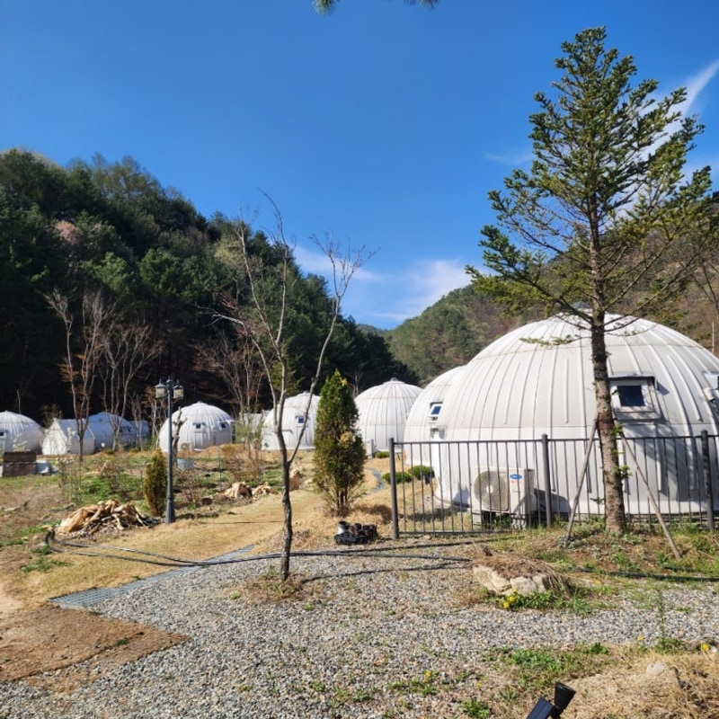 양평 글램핑 에코 이글루 내돈내산 방문후기