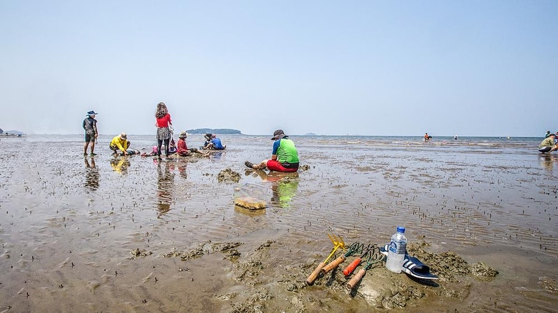 서천갯벌체험글램핑 시설 사진 14