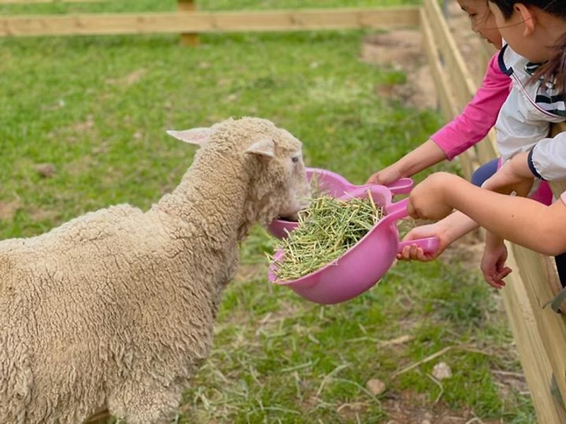 jj오토캠핑장 대표 사진