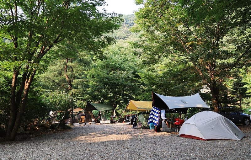 태양힐링숲 시설 사진 6