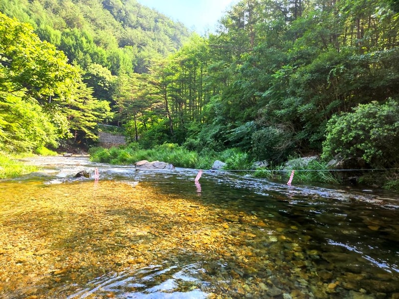 또바기캠핑장 시설 사진 39