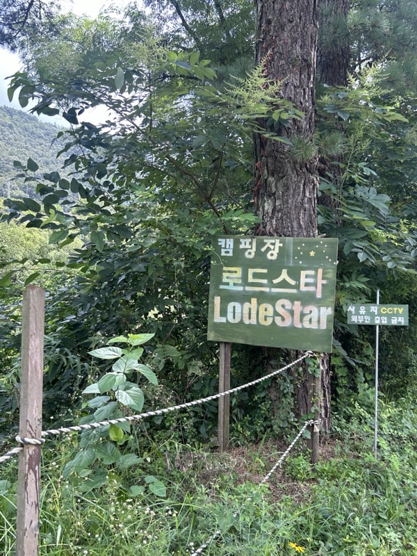 횡성 [로드스타 캠핑장] 8.15-8.17 캠핑 후기 #2: 집나가면...