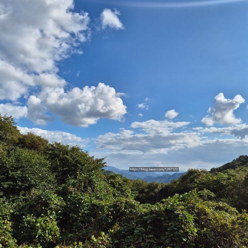 경남 하동 캠핑장 추천 후기_조용하고 프라이빗한 [다옴캠핑장]