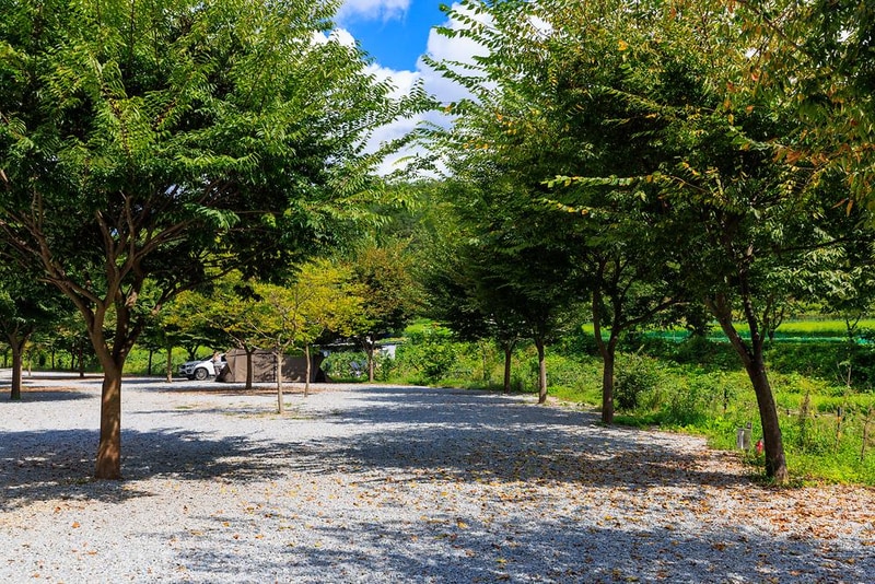 누리별 캠핑장 시설 사진 21