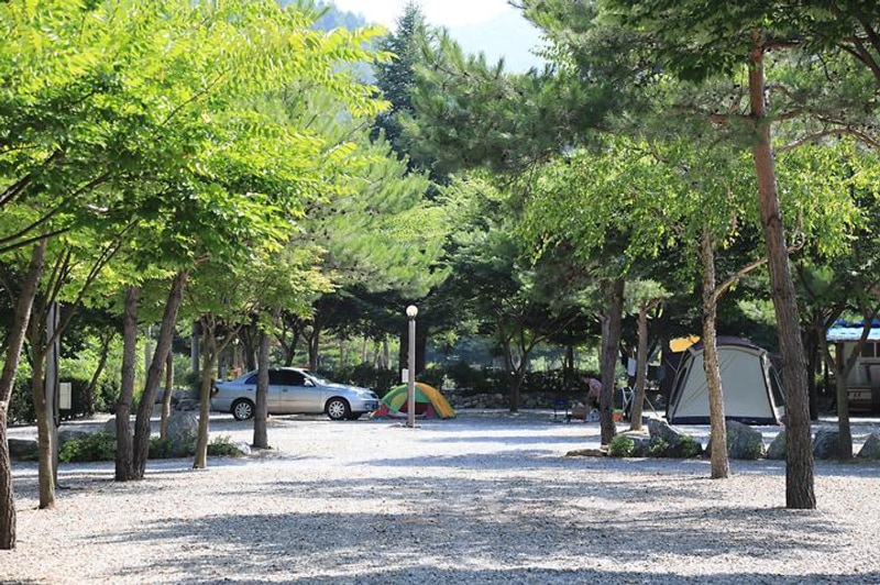 청산 캠프 대표 사진