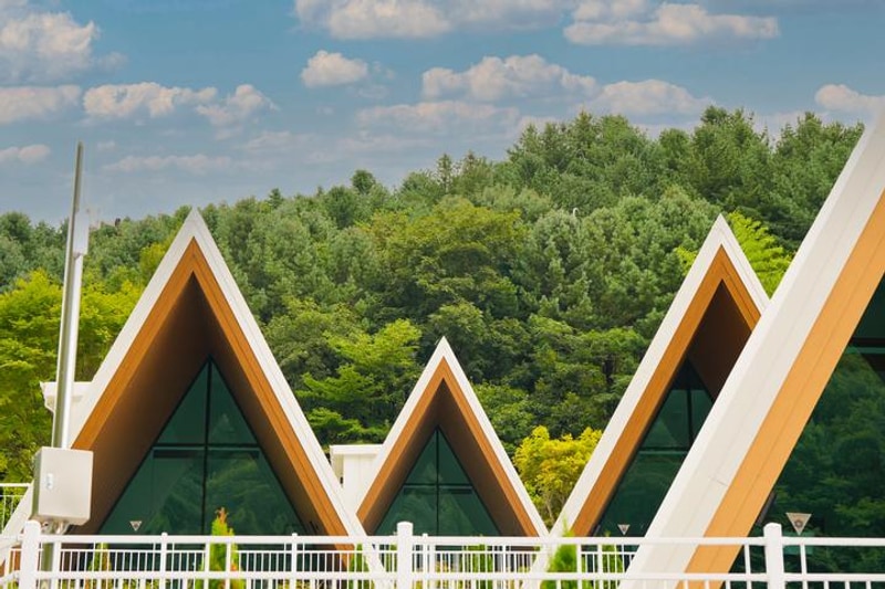 앤더포레 대표 사진