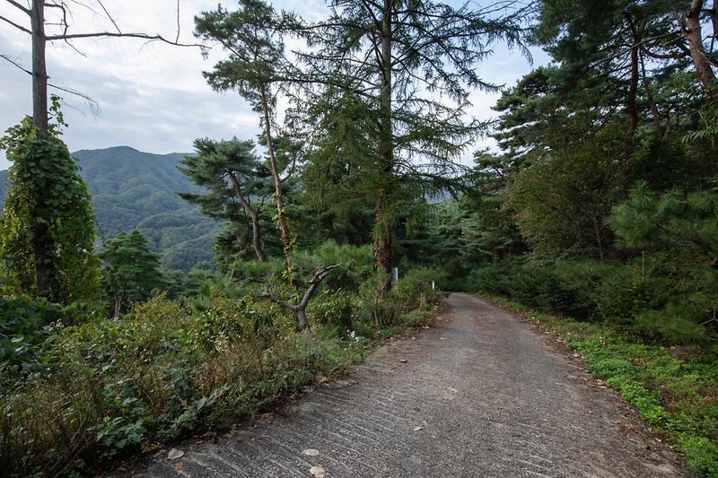 용문산 해와달 시설 사진 5