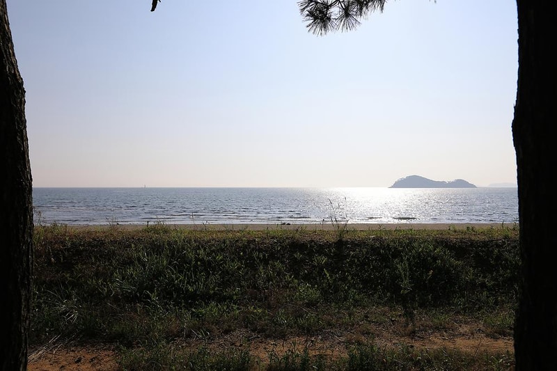 백사장사계절 숲속야영장 시설 사진 13