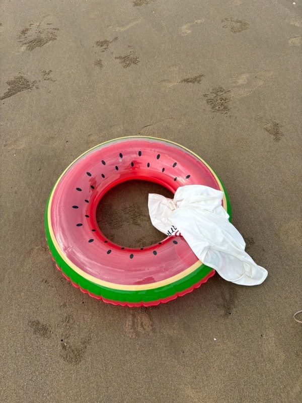 충남 태안 반려견동반 오토캠핑장 "구름포해변캠핑장...