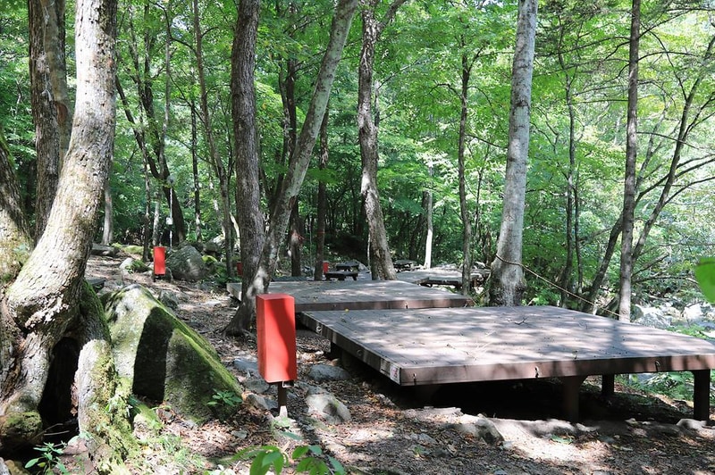 방태산 자연휴양림 캠핑장 시설 사진 14