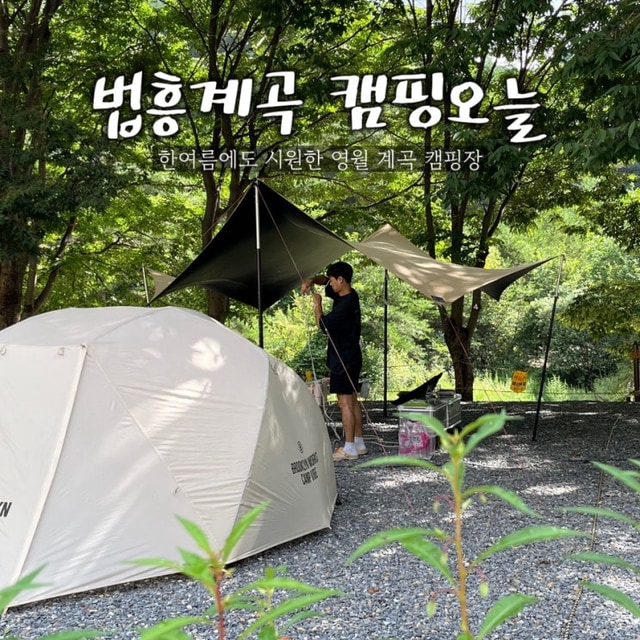 법흥계곡캠핑오늘 대표 사진