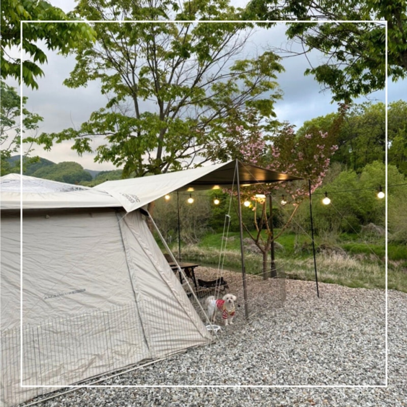 숲캠핑장 괴산애견동반 소규모캠핑장 재방문, 목도강수욕장노지