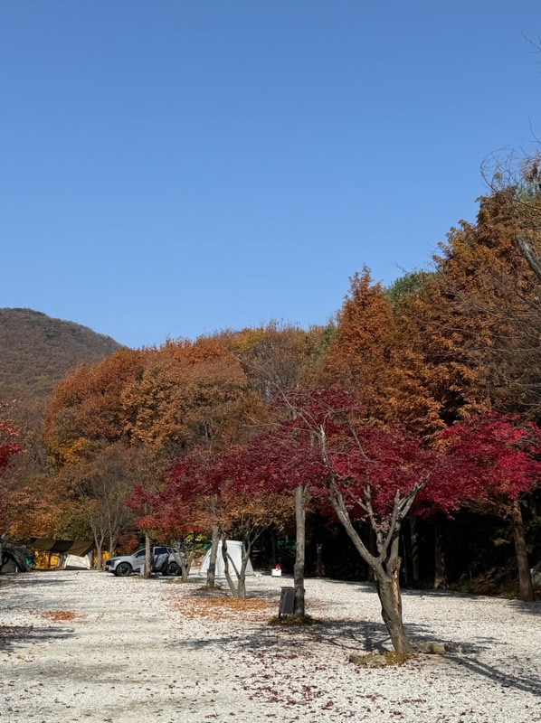 세 번째 캠핑 양주 [송천캠핑장]에서 1박 2일 단풍캠
