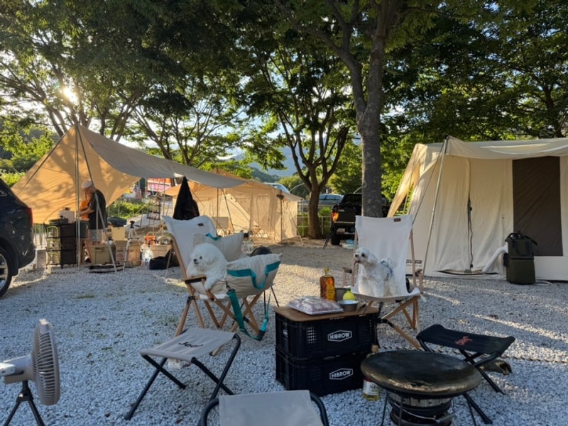 꼭 가야하는 계곡캠핑_거창 월성오토캠핑장 다녀왔습니다.