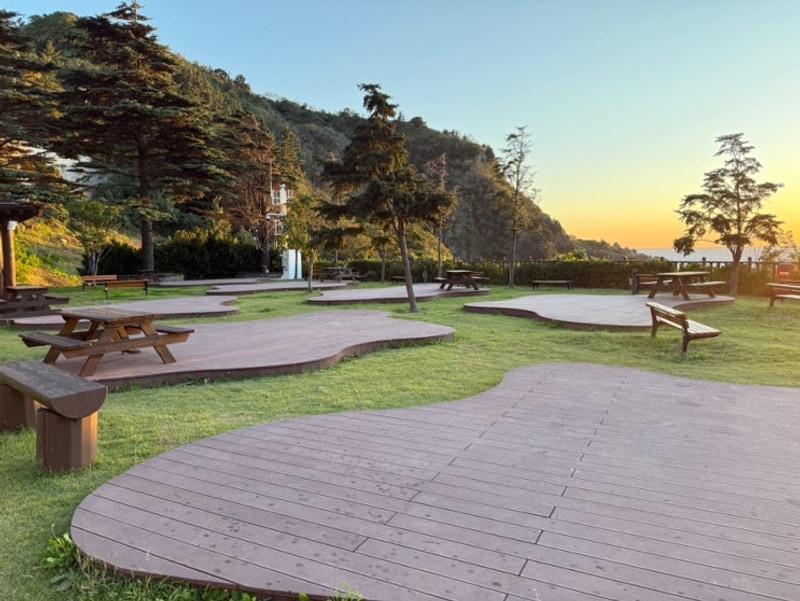 울릉도캠핑1일차/울릉크루즈/울릉여행자센터/학포야영장