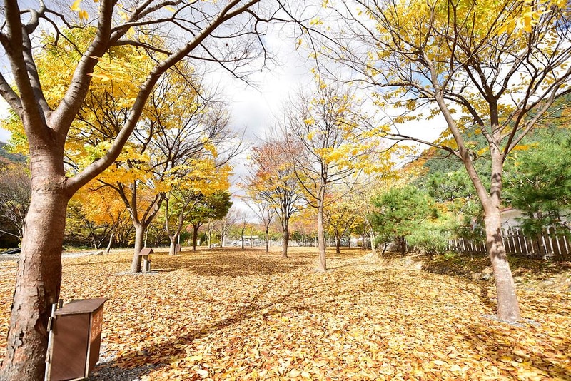 개울가오토캠핑장 시설 사진 3