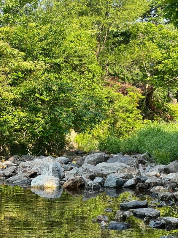 2025 첫캠핑 :: 가평 캠핑스마일