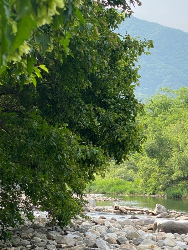 [전북 무주] 깊은골캠핑장 C1사이트, 반디랜드, 천마루