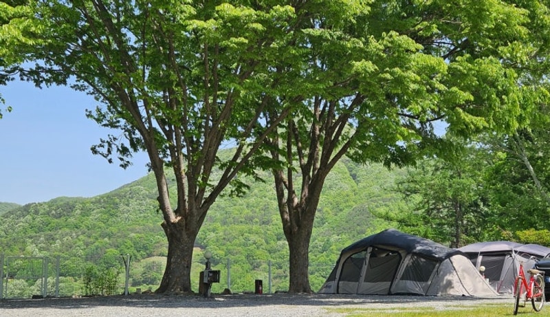 [제천옛날학교캠핑장] 뻥 뚫린 마운틴뷰 제천 캠핑장 / 잠 좀...
