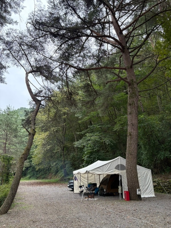 8번째 애견동반 캠핑 - 영월 뜨란솔 캠핑장