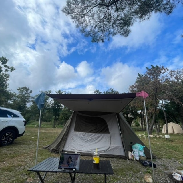 참새둥지야영장 대표 사진